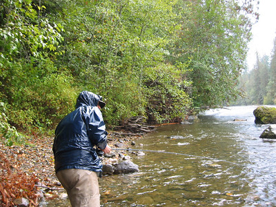  > Stamp River, Port Alberni, British Columbia, Canada.
