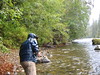 bobd2h > Stamp River, Port Alberni, British Columbia, Canada.