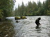 bobd2h > Stamp River, Port Alberni, British Columbia, Canada.